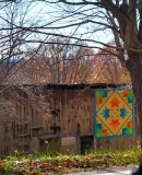 AveryCoQuiltTrail-Summer-Leaves
