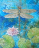 Beth-Andrews-Dragonfly