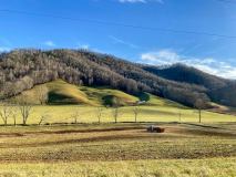 IMG_3274