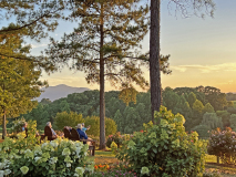 2-parker-binns-vineyard-sunset-IMG_0643