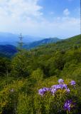 Nantahalamtnview