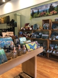 GreenHillGallery-pottery-wall