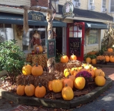High-CC-pumpkins