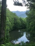 YummyMudPuddle-pond