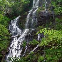 waterfall at Gorges State Park