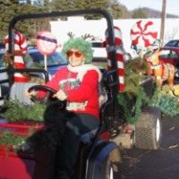 Christmas Parade in Black Mountain