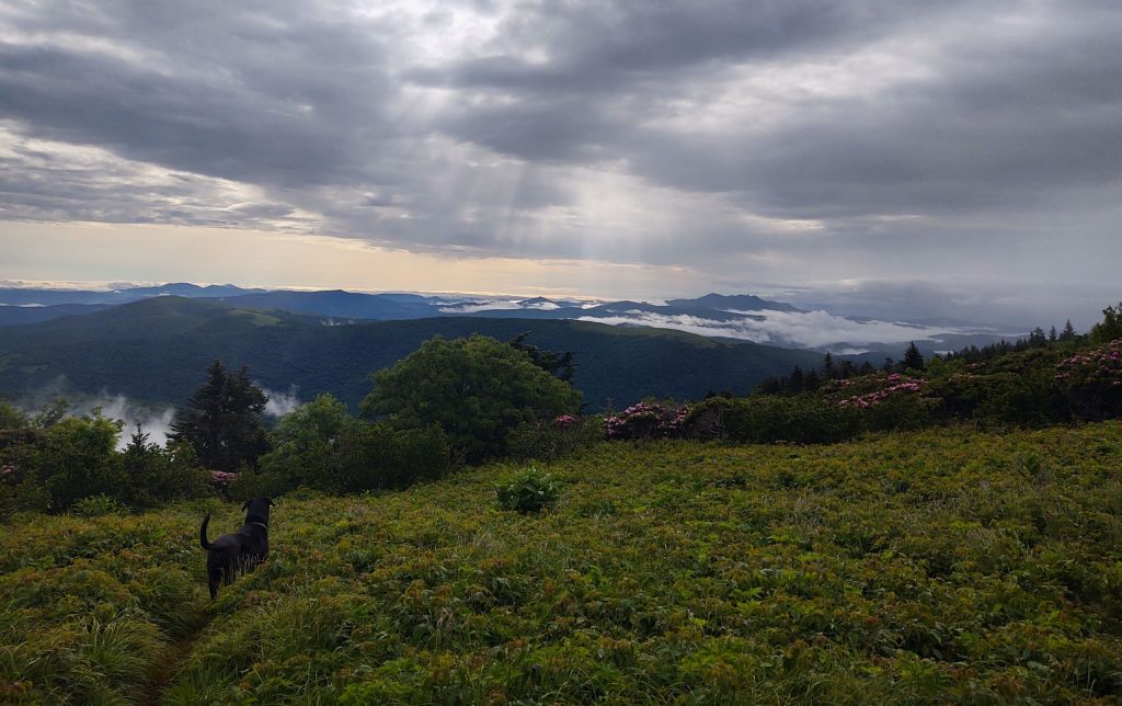 View from that Appalachian Trail at Carvers Gap.