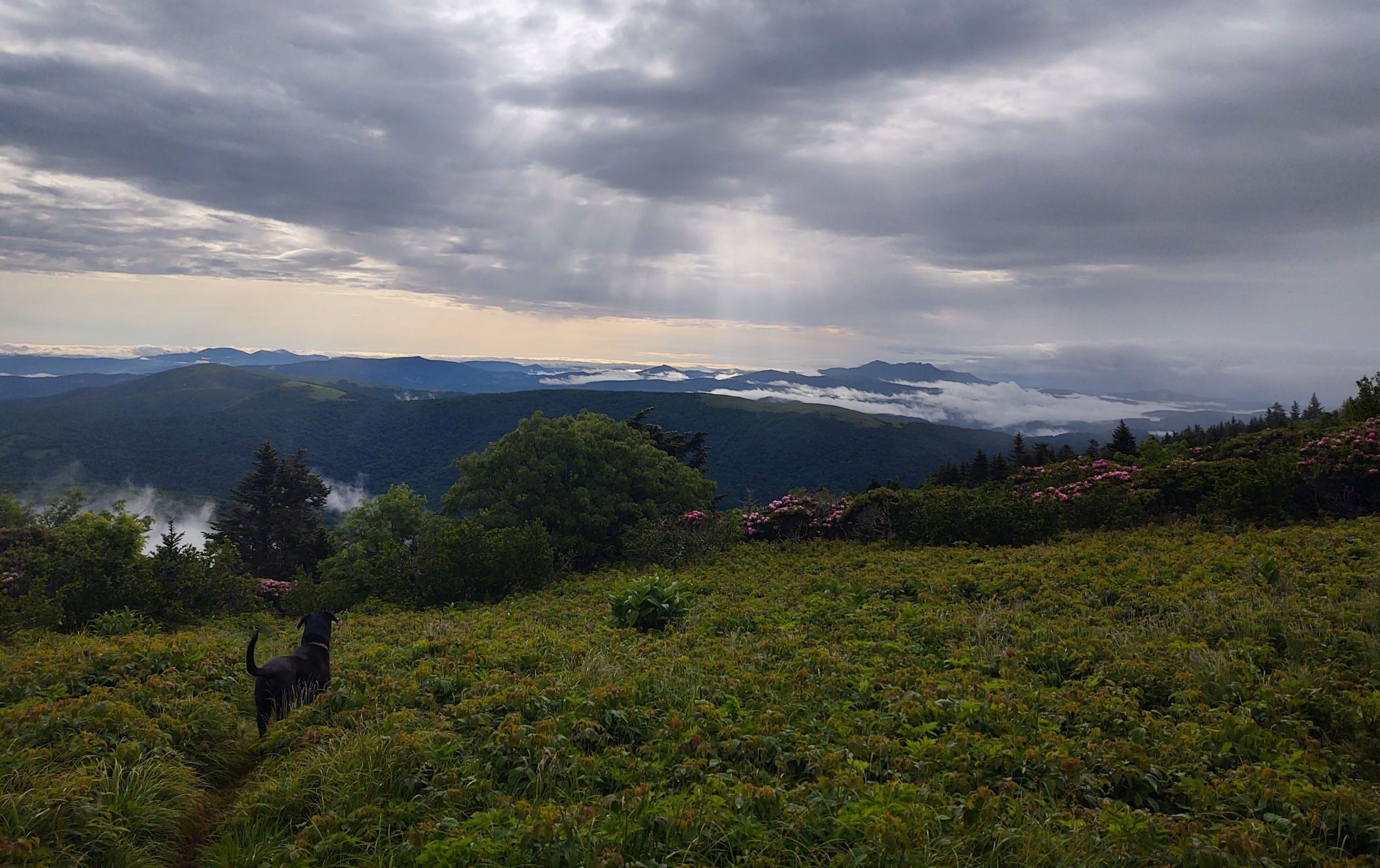 Appalachian Trail Thumbnail