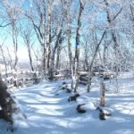Elk Knob State Park in snow