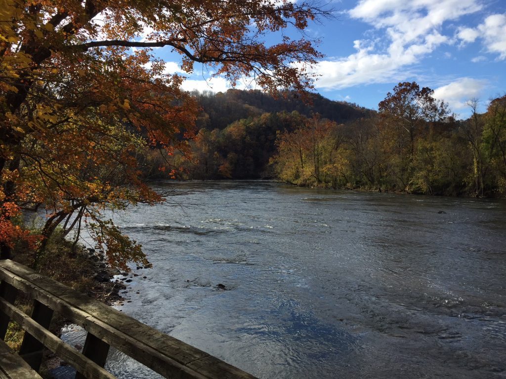 French Broad river near Marshall