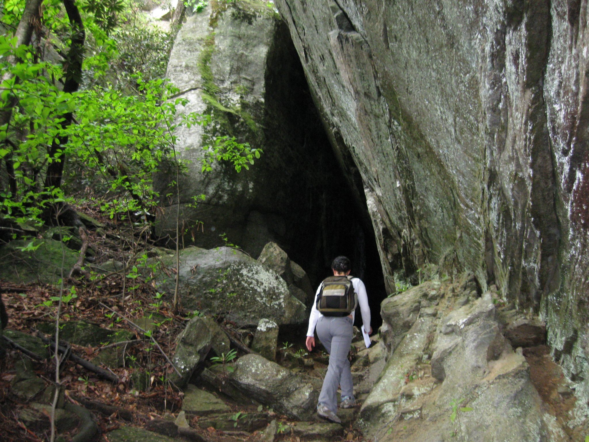 Bat Cave Preserve
