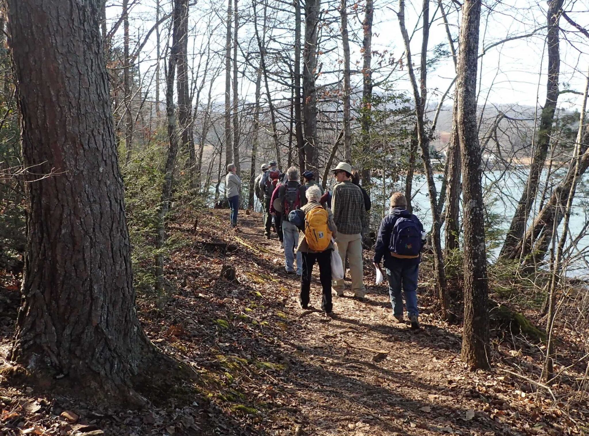Events for July 2025 Blue Ridge - Feb Winter Tree ID Hike Photo 1 2048x1515 