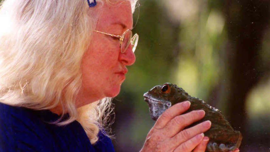 Elizabeth Ellis storyteller
