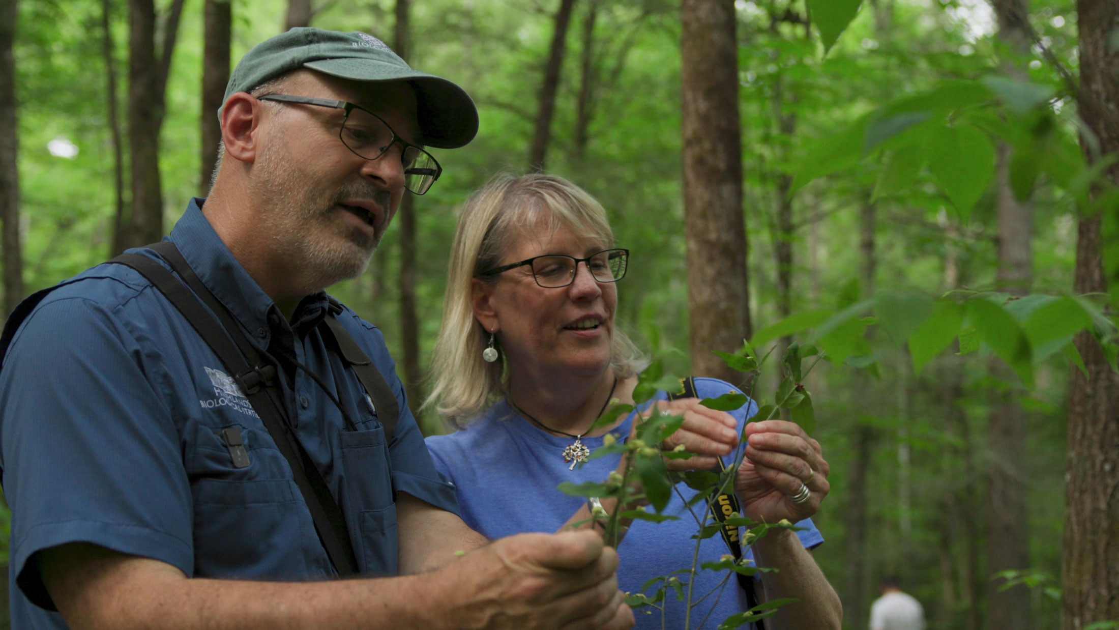 Jim and Leslie Costa, the 2025 Kemp Writer and Illustrator in Residence, are currently working on a natural history field guide to insects of the park. .
