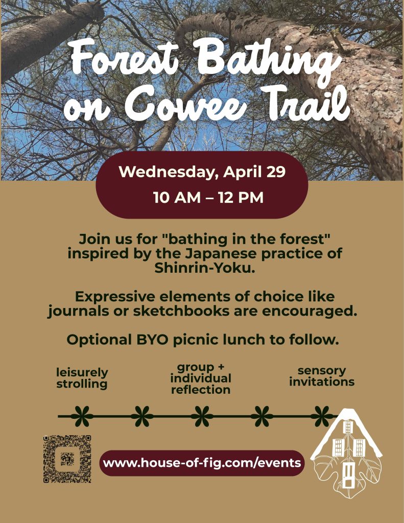 Forest Bathing aon Cowee Trail. Trees in foreground of blue sky.