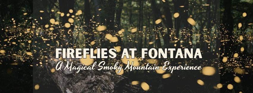 Fireflies dot the night with their luminous bodies.