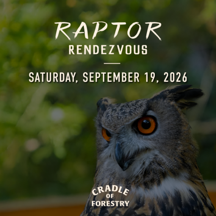 Raptor Rendesvous