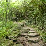 pisgah trail