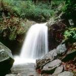 Grotto Falls GSMNP